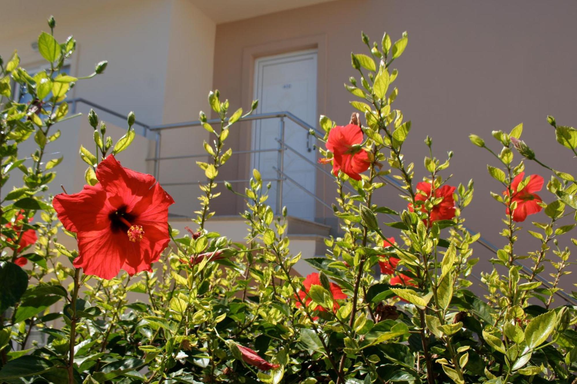 Amaryllis Front Beach Hotel Lardos Exteriör bild